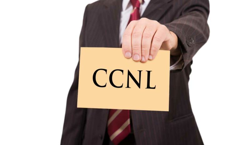 Applicabilità del ccnl e attività in concreto svolta dalla società e dai lavoratori